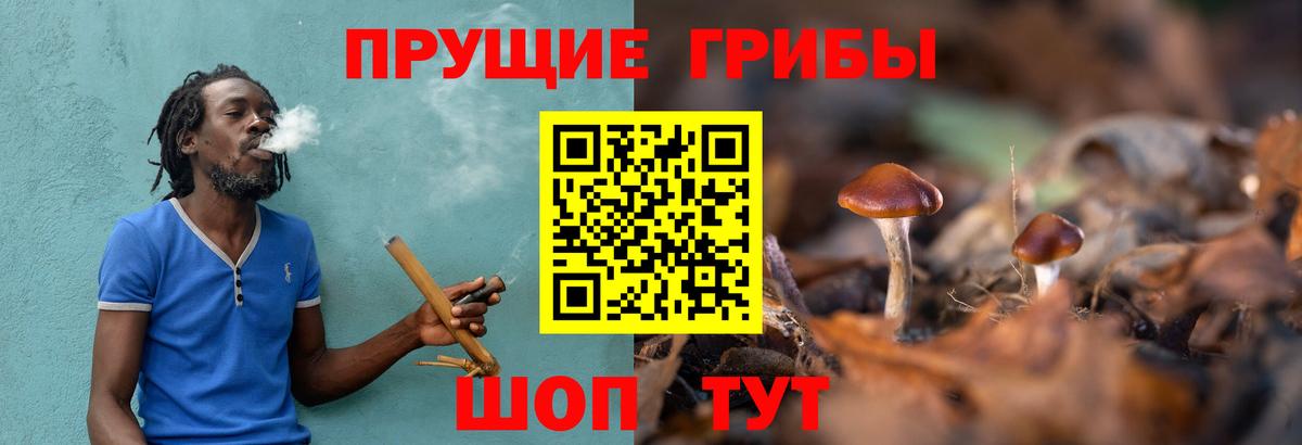 Галлюциногенные грибы прущие грибы  Вход с VPN  Сочи 