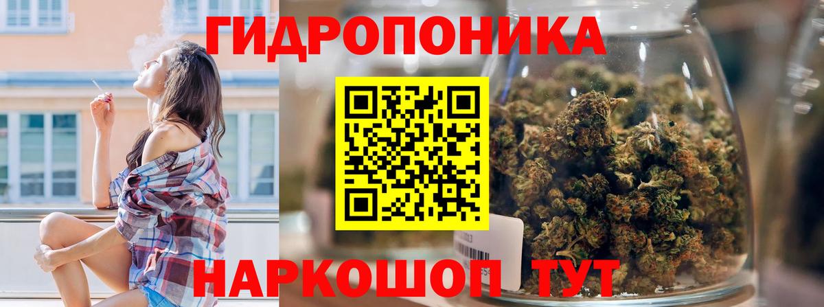 Бошки марихуана конопля  Канабис White Widow  Сочи  Вход с VPN  Каннабис сатива  Марихуана гибрид 